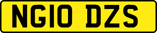 NG10DZS