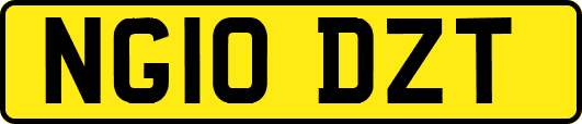 NG10DZT