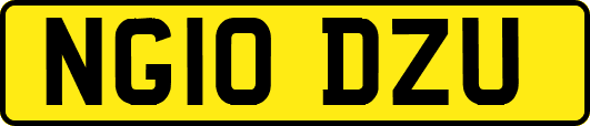 NG10DZU