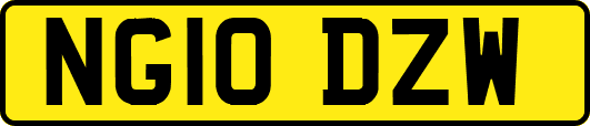 NG10DZW