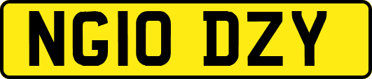 NG10DZY