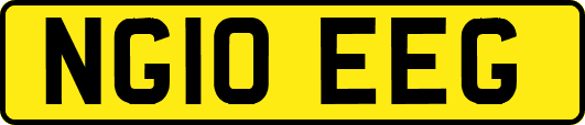 NG10EEG