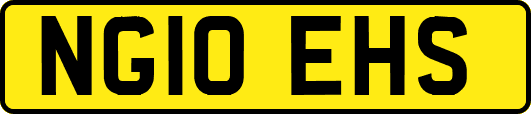 NG10EHS