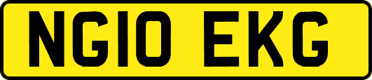 NG10EKG
