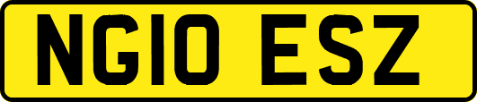 NG10ESZ
