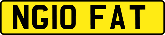 NG10FAT
