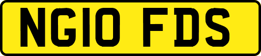 NG10FDS