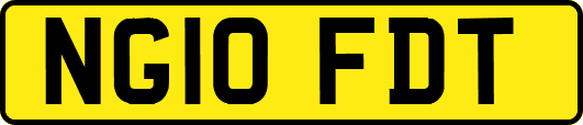 NG10FDT