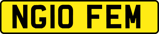 NG10FEM