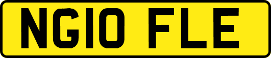 NG10FLE