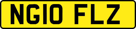 NG10FLZ