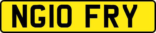NG10FRY