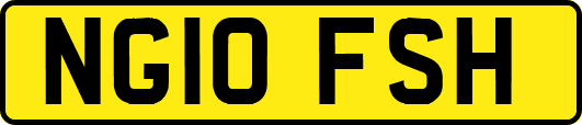 NG10FSH