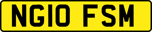 NG10FSM