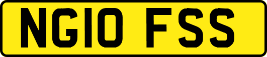 NG10FSS