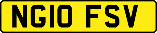 NG10FSV