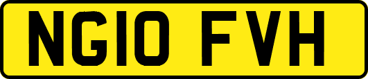 NG10FVH