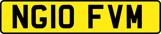 NG10FVM