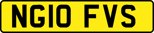NG10FVS