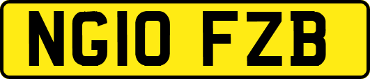 NG10FZB