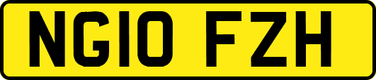 NG10FZH