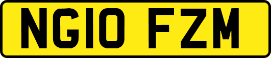 NG10FZM
