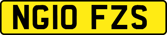 NG10FZS