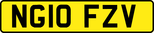 NG10FZV