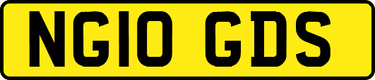 NG10GDS