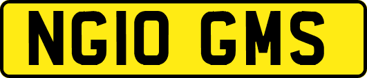 NG10GMS