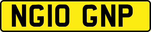 NG10GNP