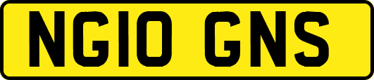 NG10GNS