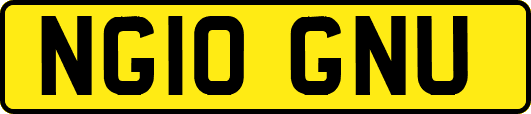 NG10GNU