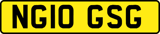 NG10GSG