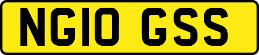 NG10GSS