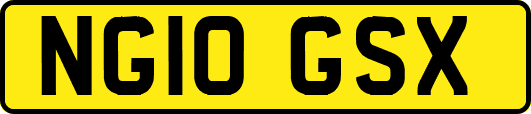 NG10GSX