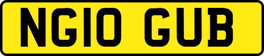 NG10GUB