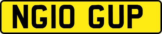 NG10GUP