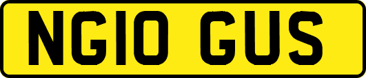 NG10GUS
