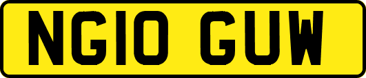 NG10GUW