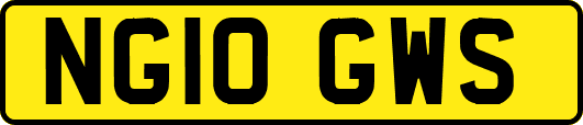 NG10GWS