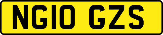 NG10GZS