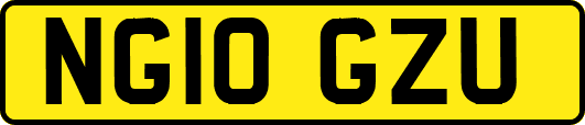 NG10GZU