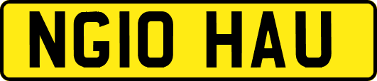 NG10HAU