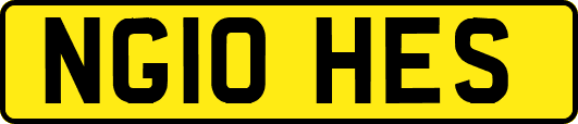 NG10HES