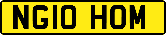 NG10HOM