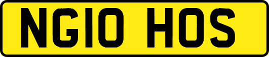 NG10HOS