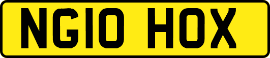 NG10HOX