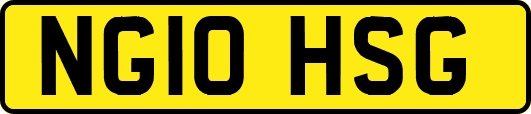 NG10HSG