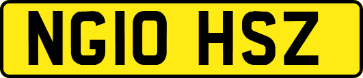 NG10HSZ